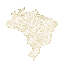 História do Brasil